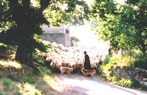 image002